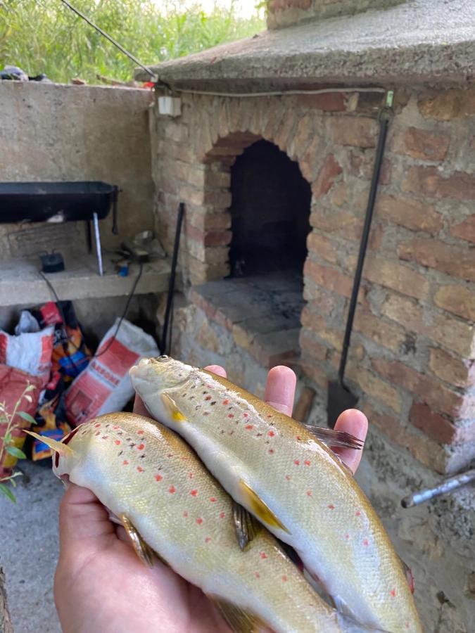 בלאגאי House On The River מראה חיצוני תמונה